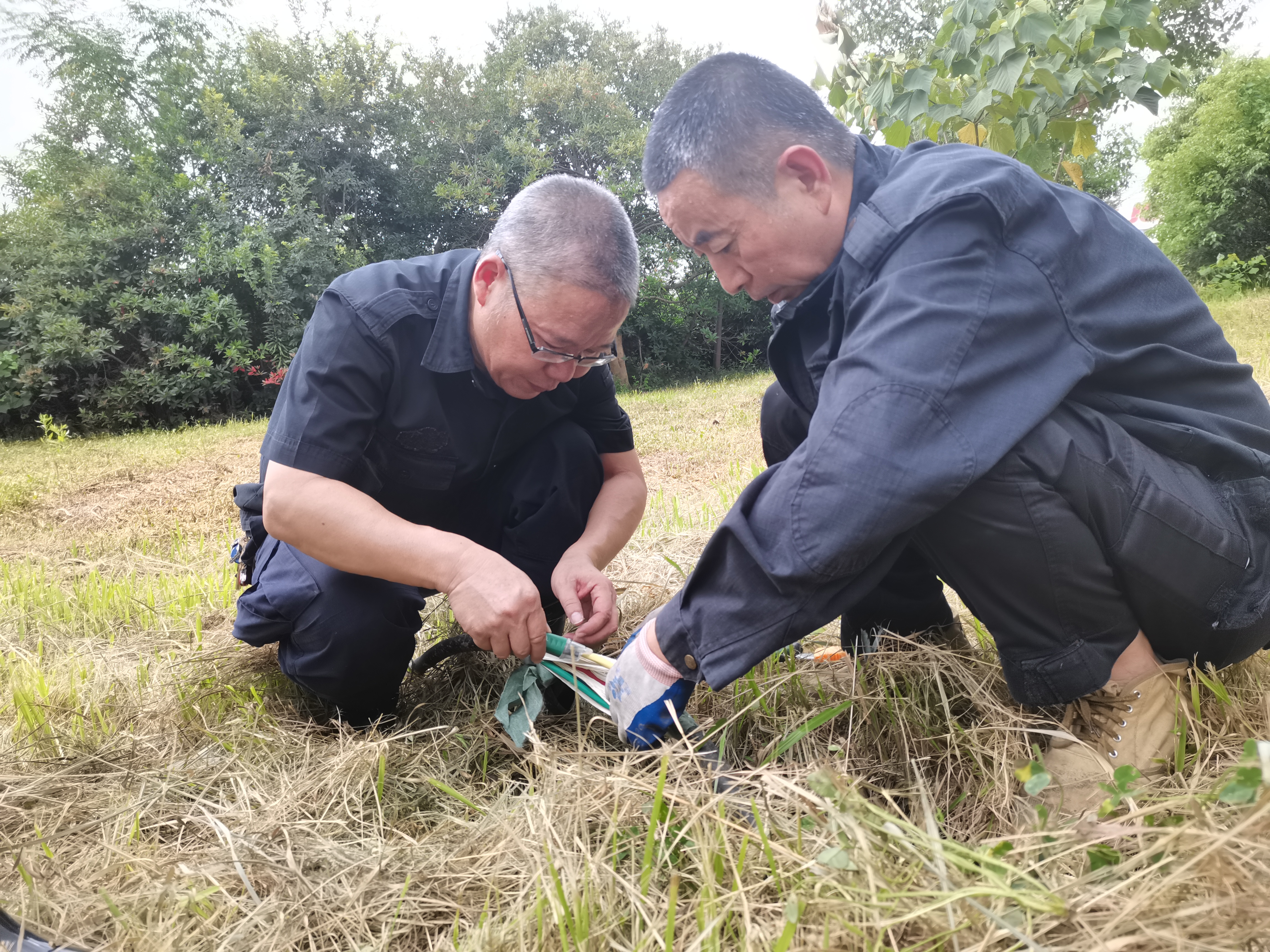 1627432919531611.jpg 5aba3ed4d700f76d3d55c814625145d.jpg