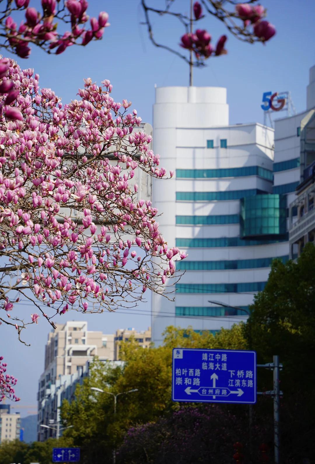 1773042135146692.jpg 1.jpg