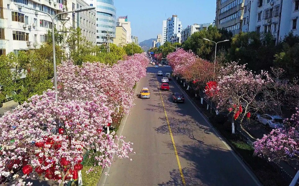 1773042143946221.jpg 2.jpg